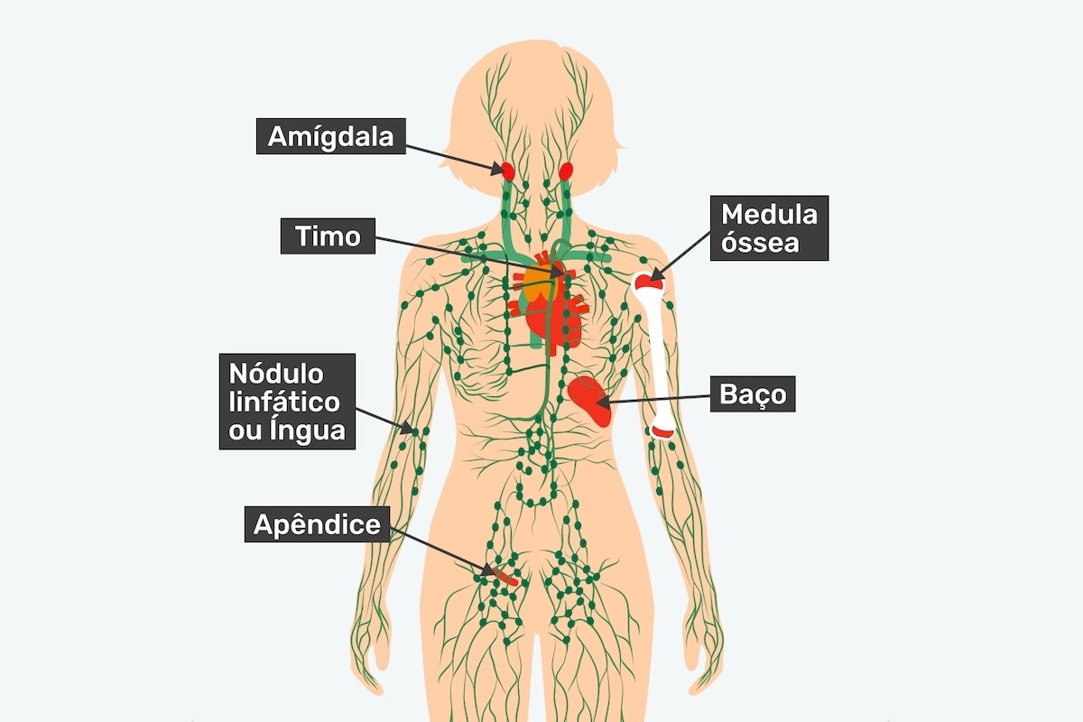 Câncer linfático: o que é, sintomas, causas e tratamento